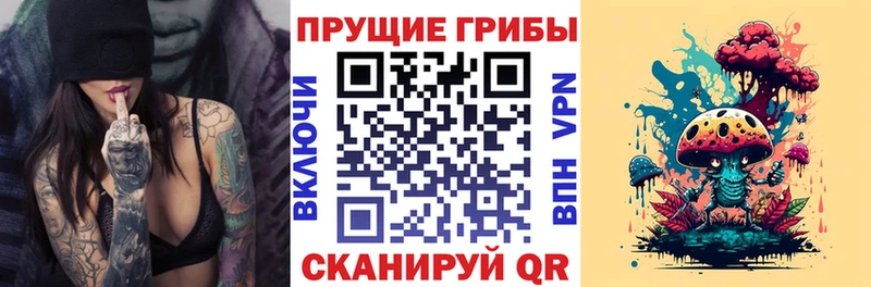 Галлюциногенные грибы GOLDEN TEACHER  купить наркоту  Судак 